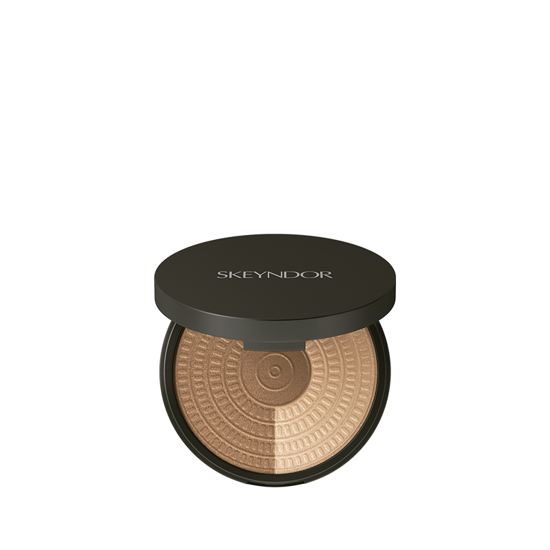 Highlight powder duo